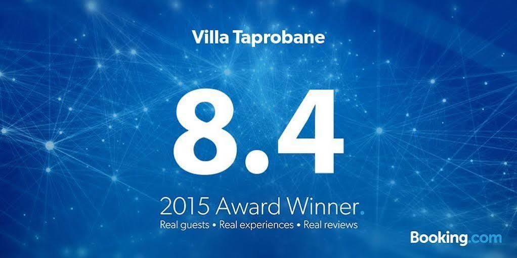 Villa Taprobane ネゴンボ エクステリア 写真